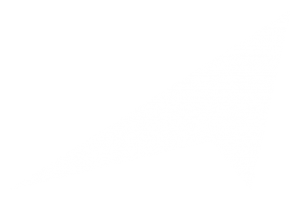 white-Icon-01